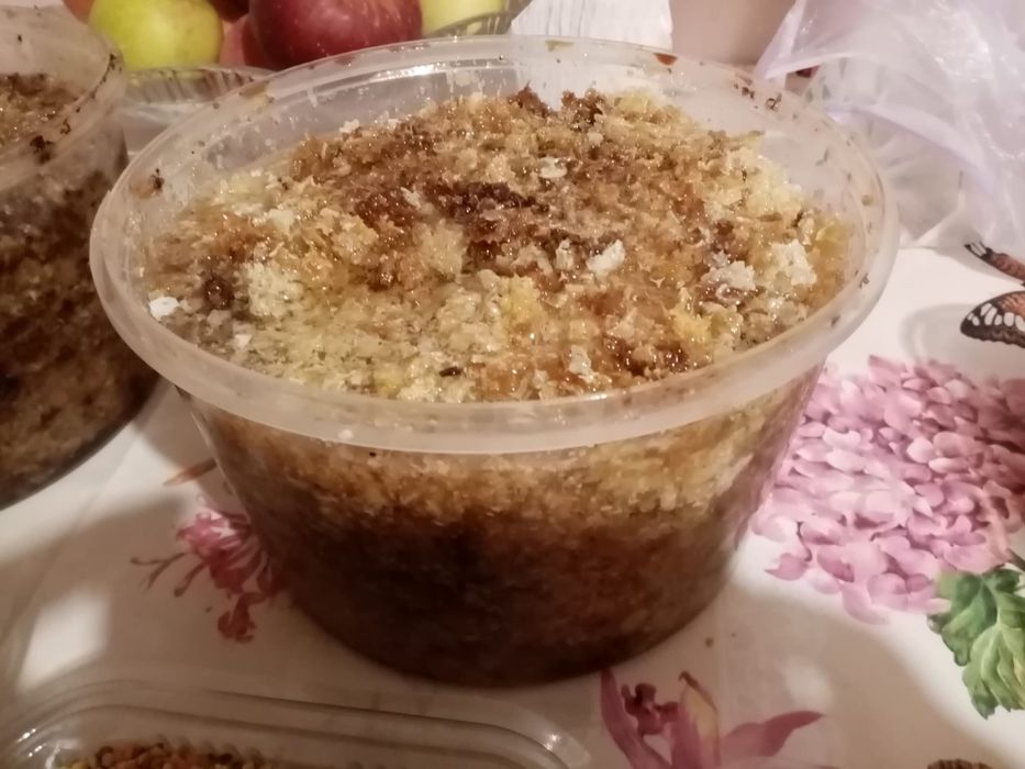 Căpăceală de salcâm