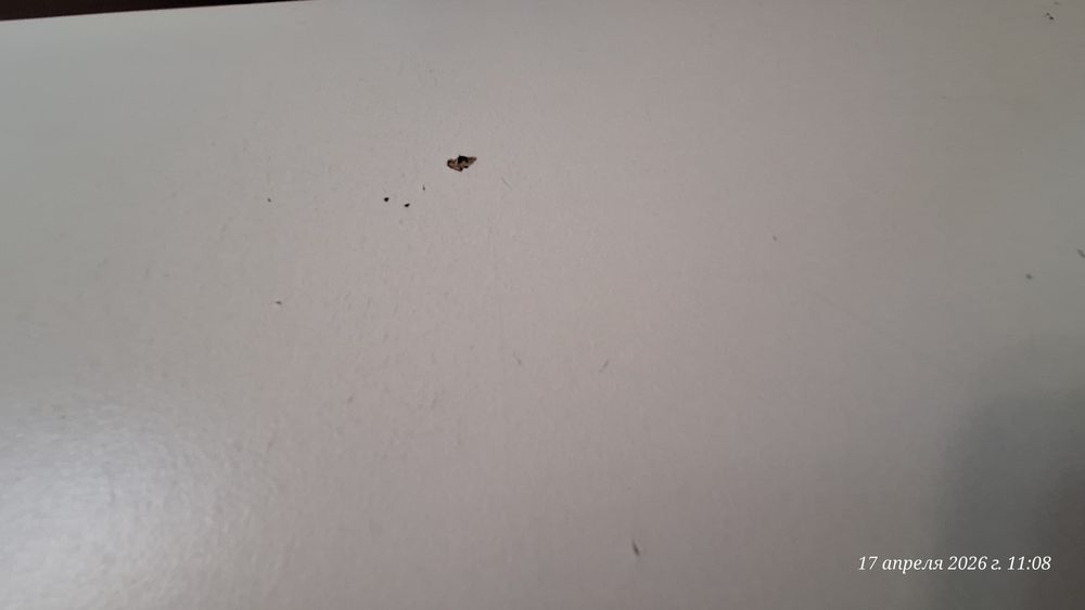 Продам стол и 4 стула