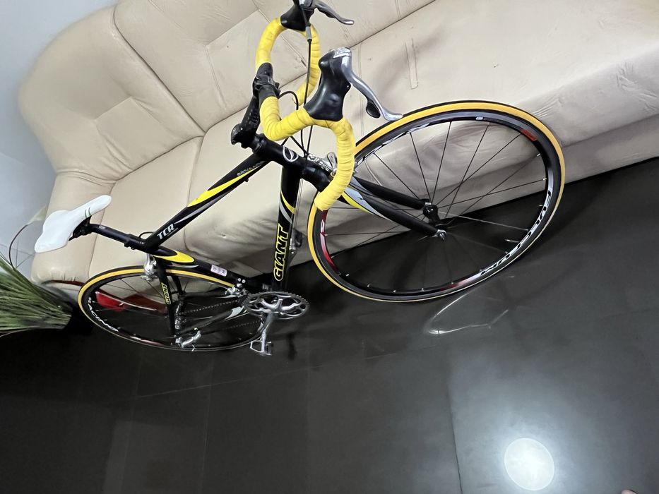 Cursiera Giant TCR hybrid