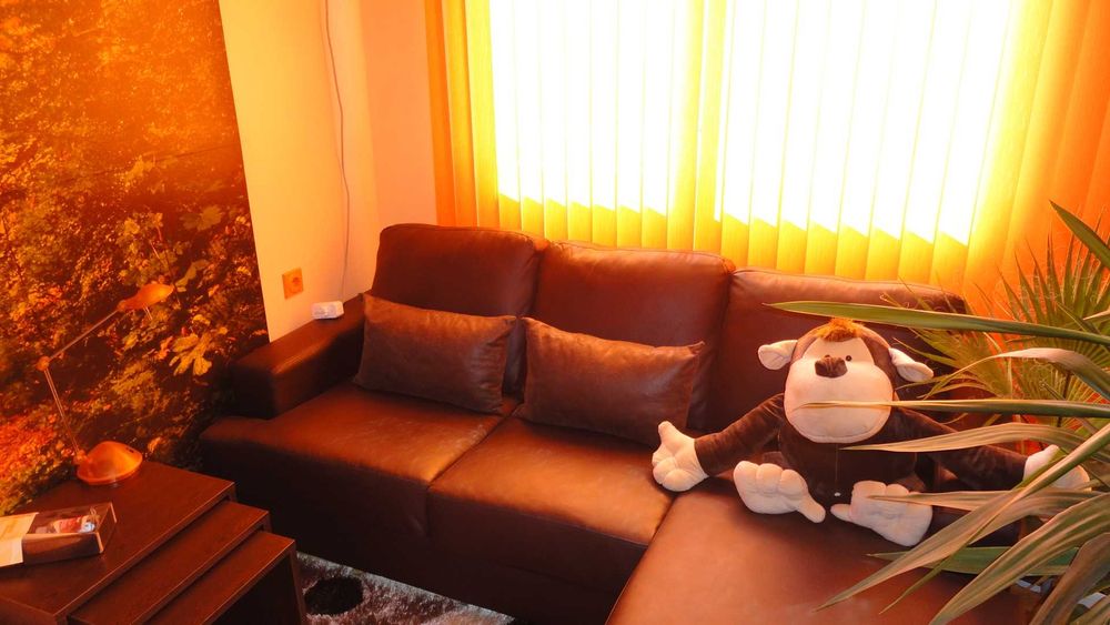 Студио 30 евро (за цялото студио) център до автогара "Юг"