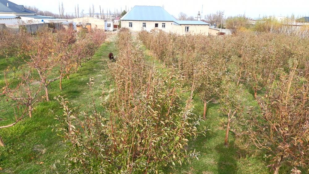 Продается дом в селе Айша-Биби