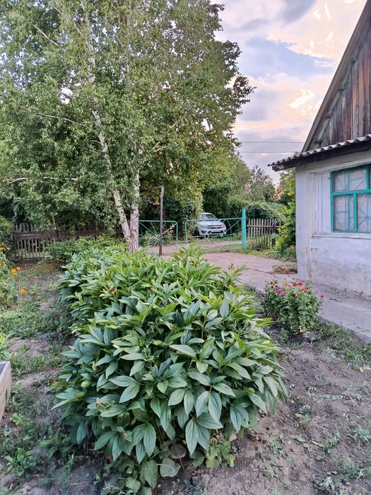 Продам дачу в живописном месте