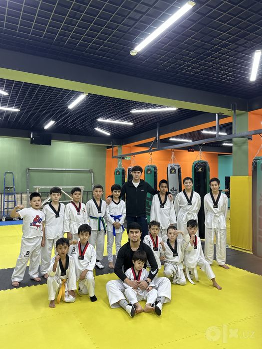 Taekwondo WTF  Trener