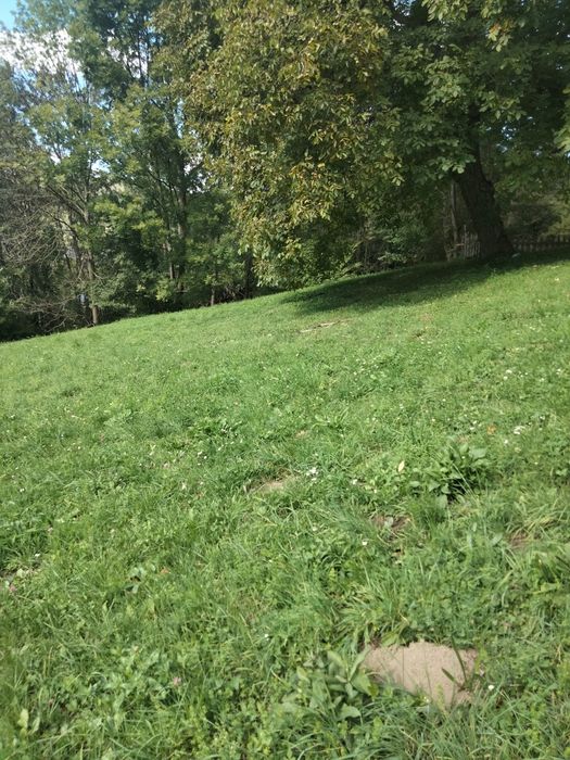 Vând teren intravilan Teșila, Valea Doftanei