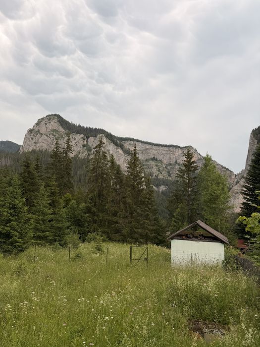 Vand teren intravilan in Lacu Rosu vedere la munte 817 mp