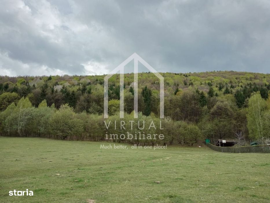 Teren intravilan de vanzare in Tocile, 3862 mp, priveliste spre padure