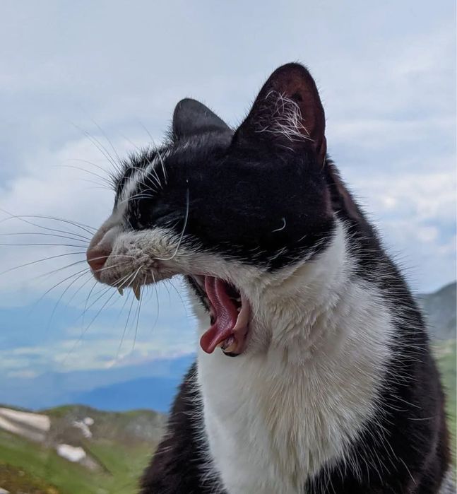 Hai cu noi! GRAWE Focșani caută Unit Manager şi Consultanți