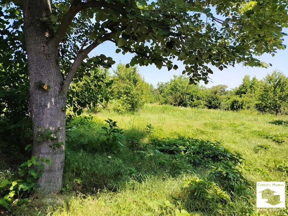 Продава се Къща в с. Страхилово, Област Велико Търново - 125 кв.м за 576 €/кв.м - Снимка #17