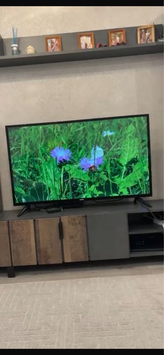 Телевизор бронированый