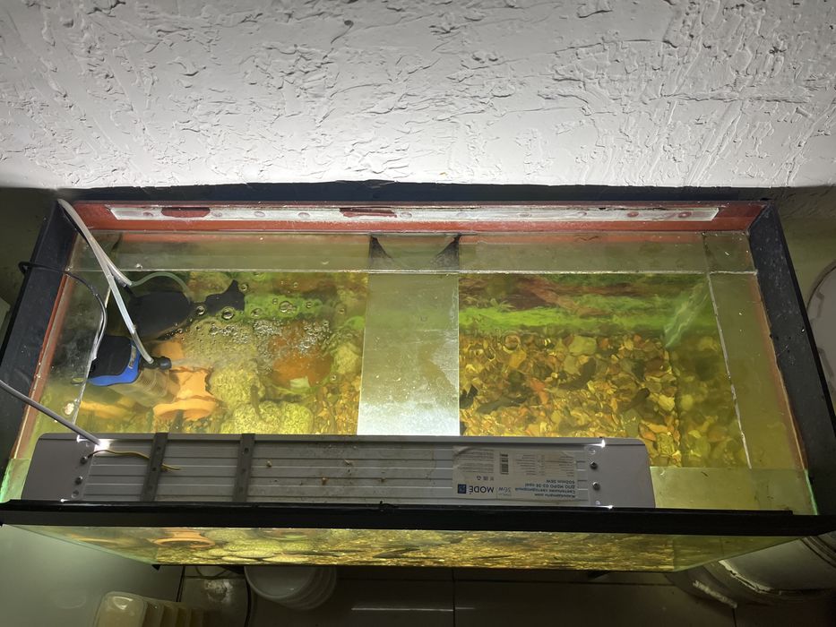 Аквариум 140 литров