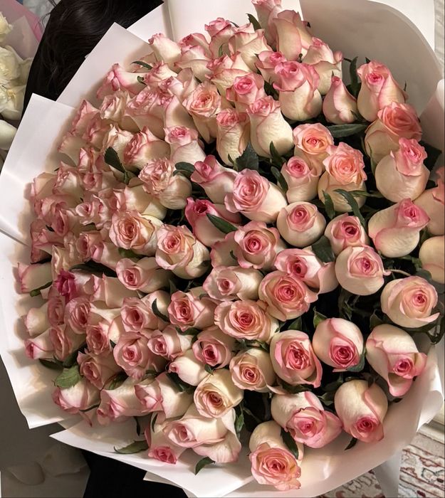 101роза Метровые