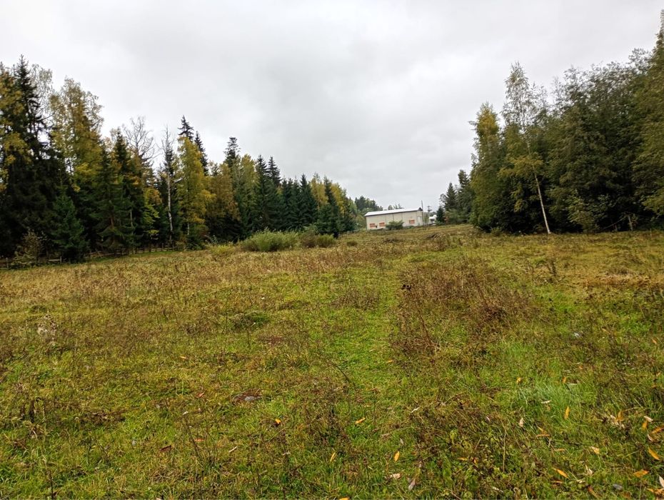 Teren in Neagra Sarului