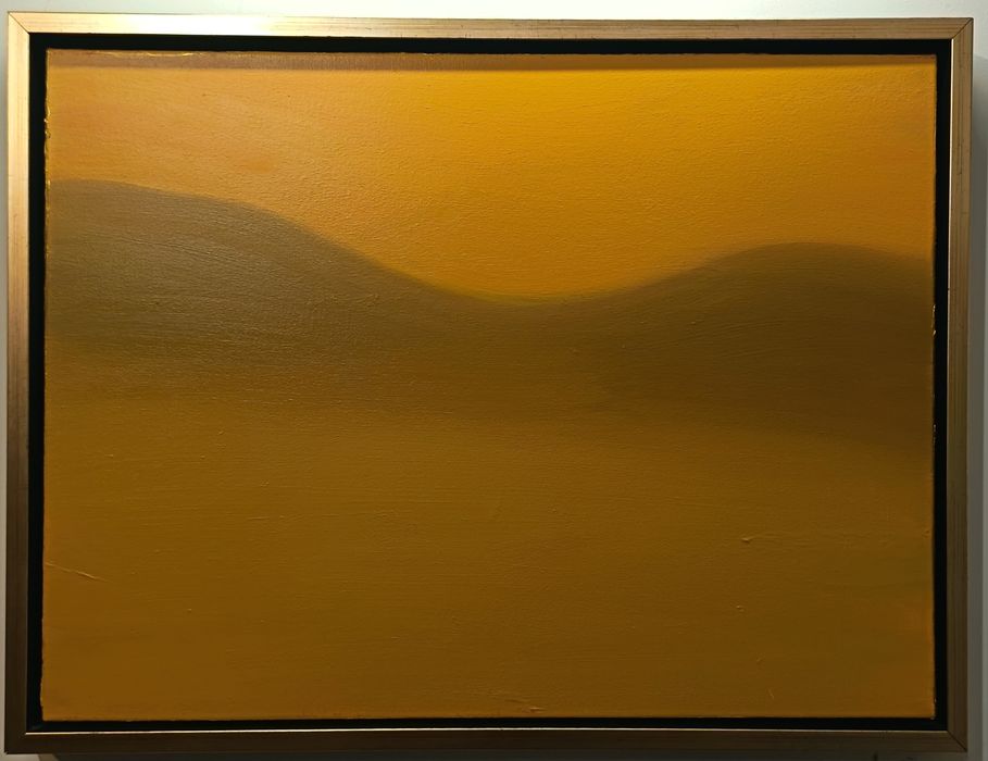 Абстрактна картина масло върху платно.  60/45 см. Рамкирана.