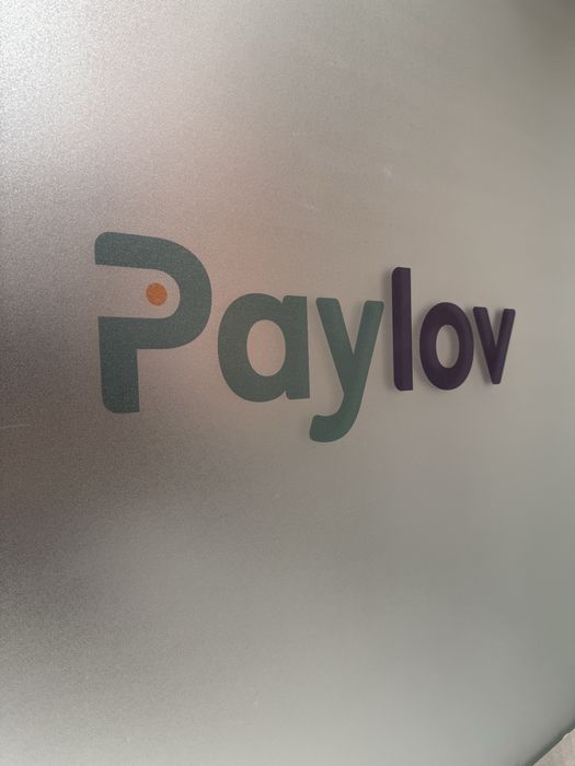 Туманка | Матовая пленка