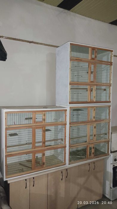 Қушлар учун қафас, клетка.