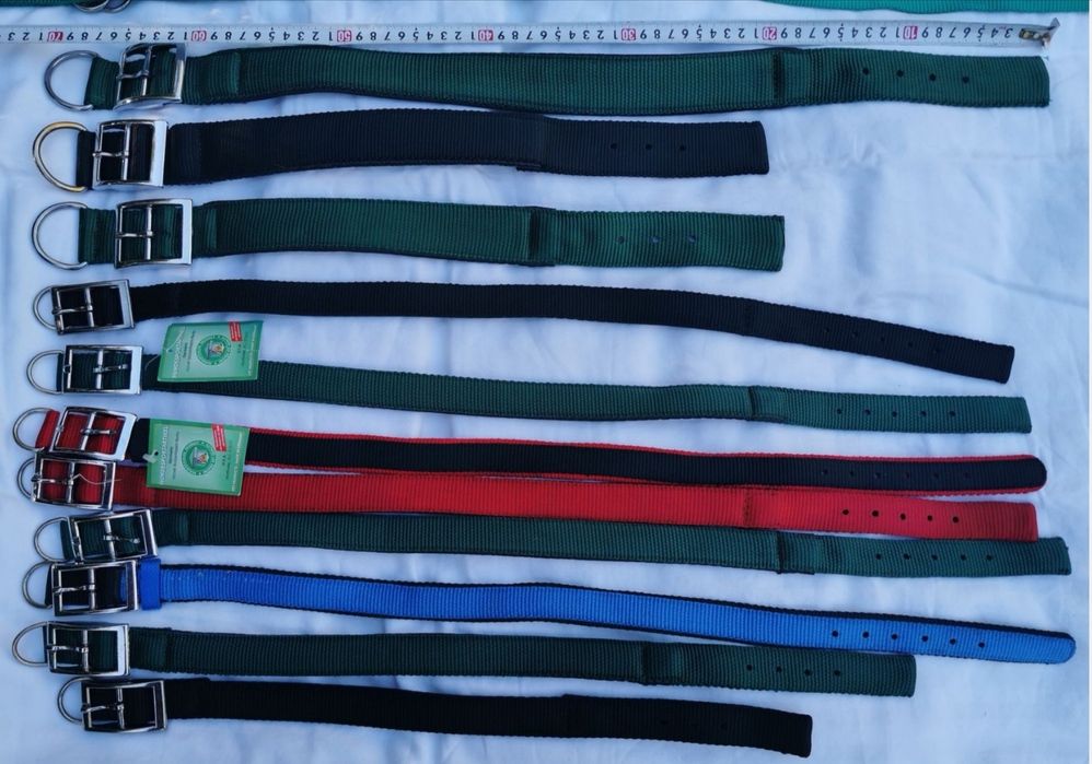 Set lese și zgărzi