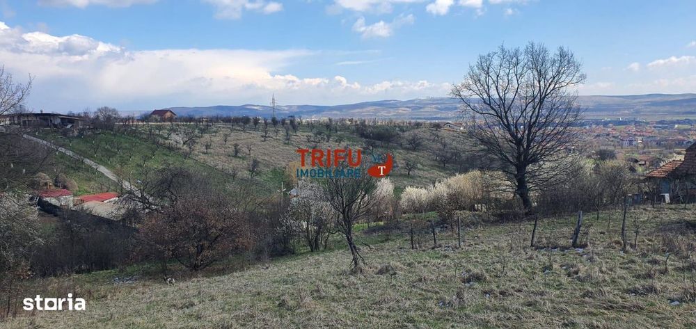 Teren 1654 mp zona Cetate Schit