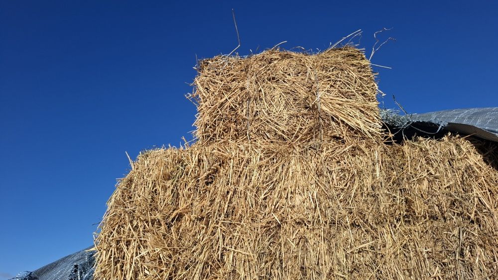 Baloți fân/lucernă