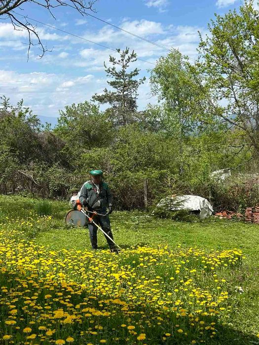 Градинарство: Косене, почистване, поддържане