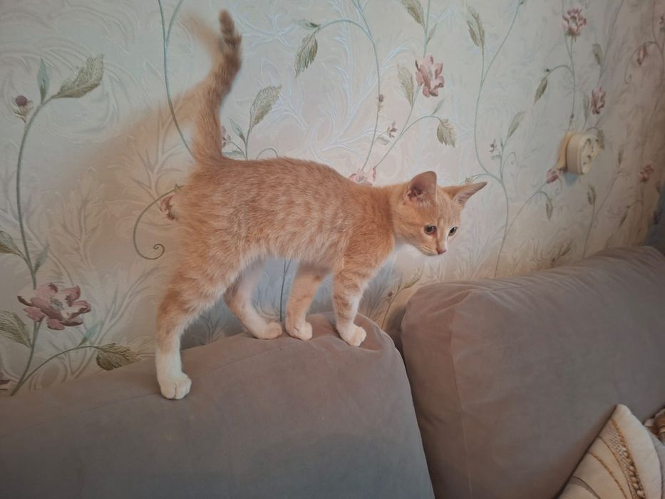 Мальчик. 5 месяцев