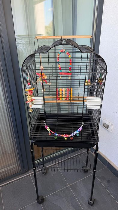 Colivie papagal noua