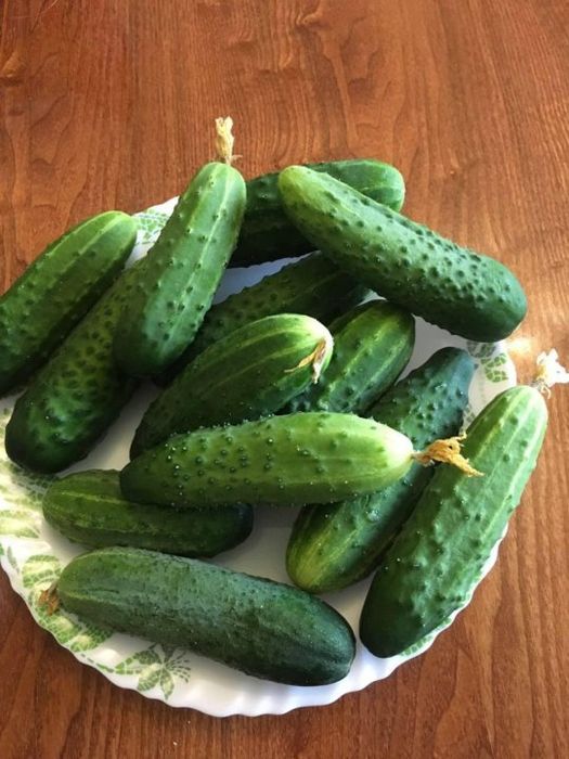 Продам огурцы домашние