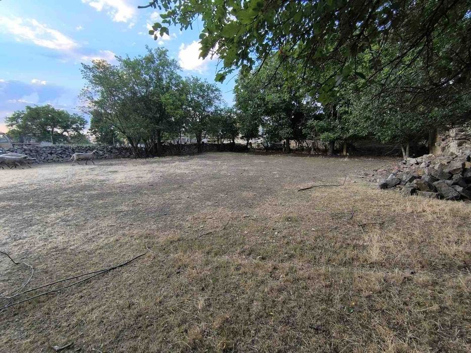 Имот в с.Стефан Караджа обл.Варна