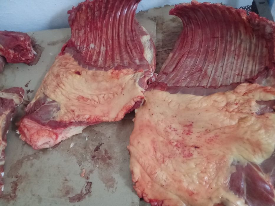 Жабаглар сатам Баянауыл