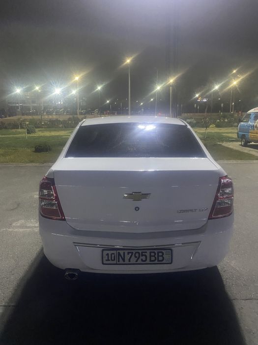 COBALT 2023 краска тоза 100%