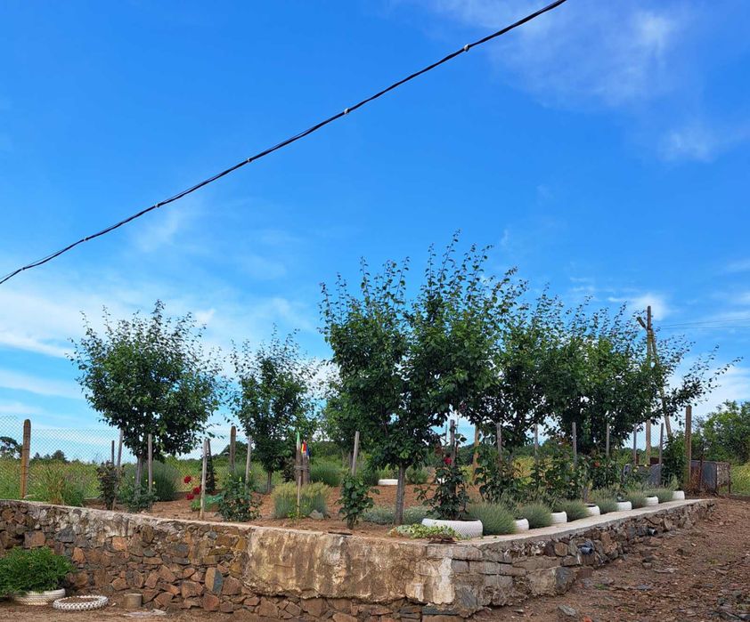 Продава се Къща в с. Лалково, Област Ямбол - 150 кв.м за 387 €/кв.м - Снимка #8