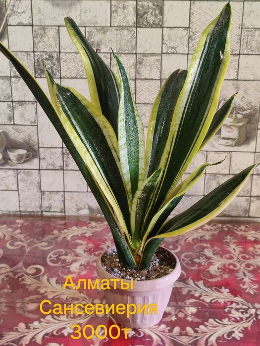 Продам Хобби для души