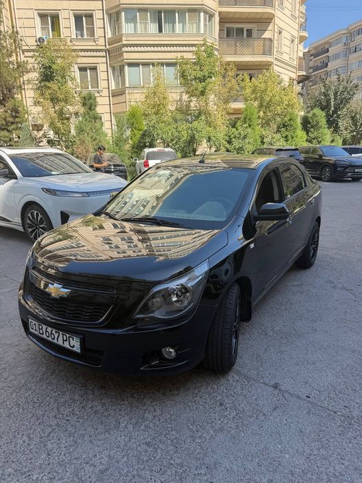 Cobalt midnight full