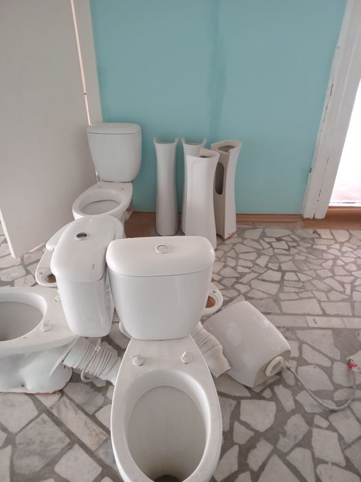 Продам унитаз и тюльпаны