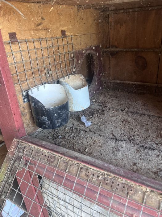 Кролятник (красивый , качественный )