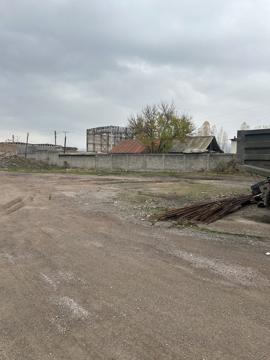 Газалкент 145 соток почти 1,5 гектара