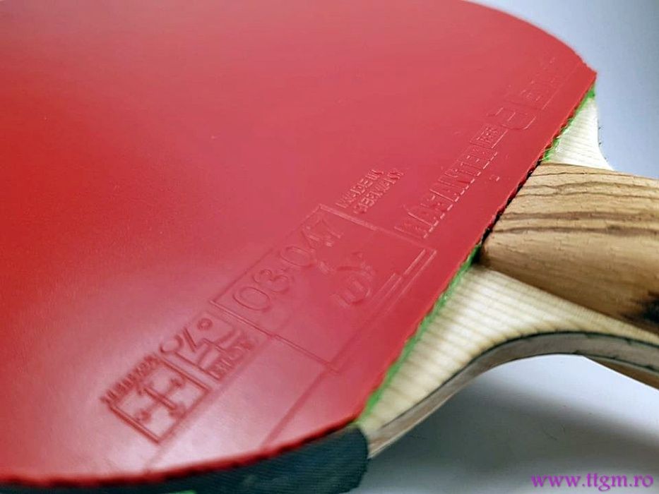 Paleta profesionala (ping pong) tp Ligna co off / R53 2.3 / R48 2.0