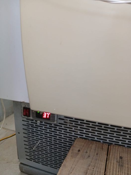 Vand vitrina carne/branza