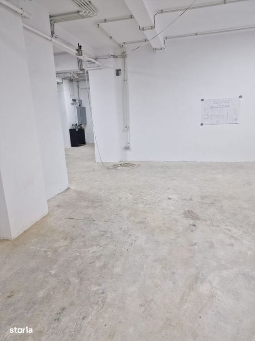 Cismigiu, sp com 386 mp