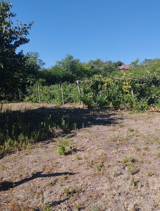 Продава се Къща в с. Юпер, Област Разград - 98 кв.м за 141 €/кв.м - Снимка #11