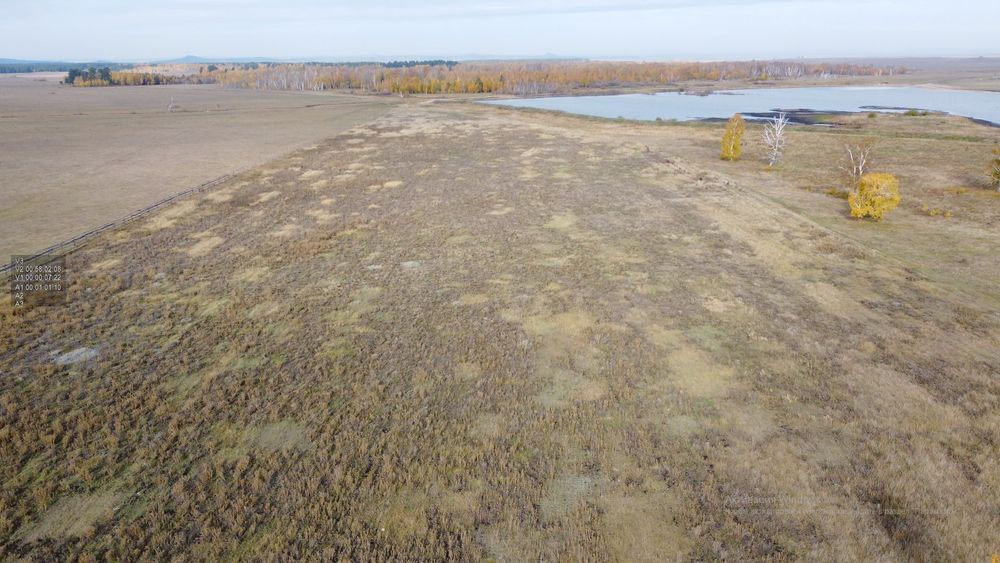 Рыболовное хозяйство