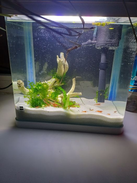 Креветочник 9 литров