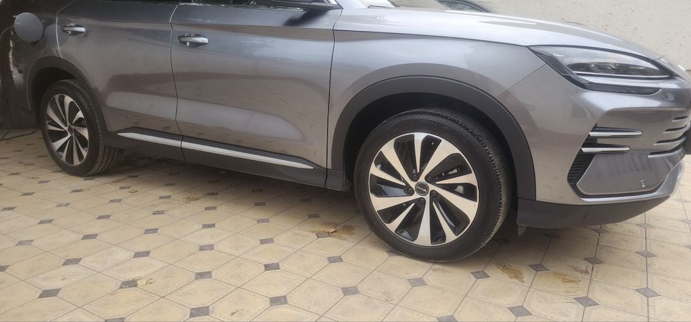 Byd Chimpion gibrid sotiladi 150 tali