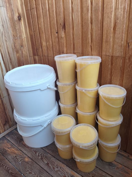 Мёд . Расторопша с подсолнухом.