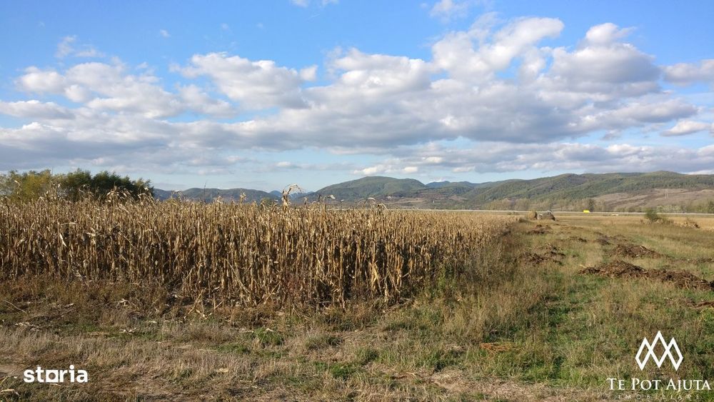 Teren 14900 mp, Simeria, Jud. Hunedoara, Acces la 2 strazi!