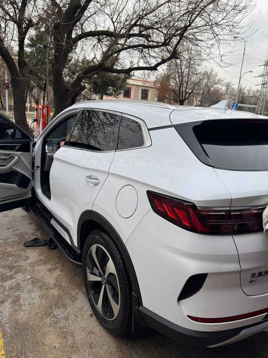 Byd song pulus 2022