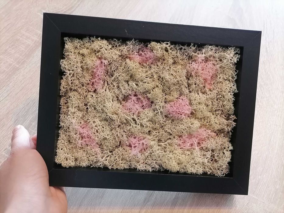 Декоративно пано от естествен стандинавски мъх за подарък