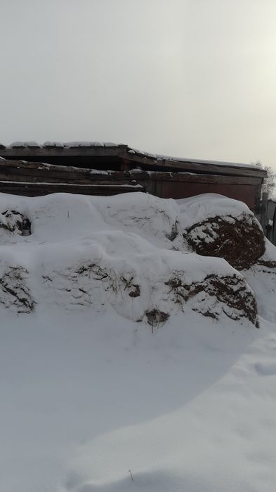 Продам сено тюки