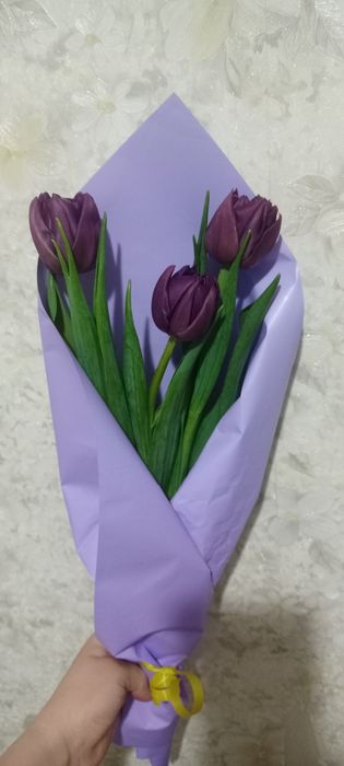 Тюльпаны букет и отдельно