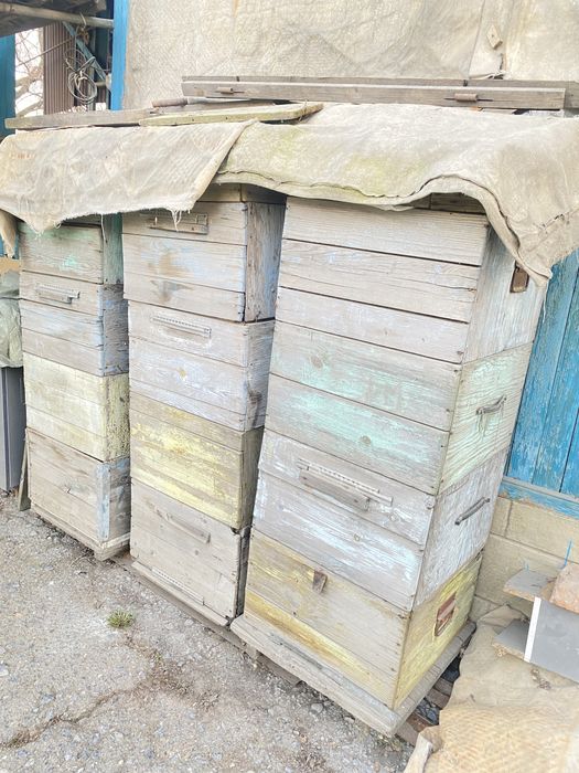 Продам  улья для пчёл