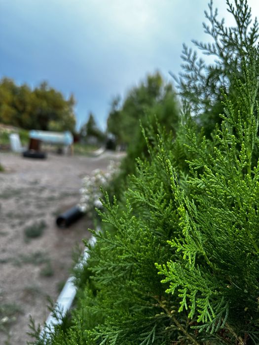 Сдается дача посуточно